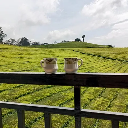 Tea Estate View Stay Ooty Exterior photo