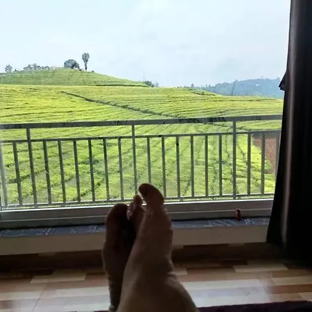 Tea Estate View Stay Ooty Exterior photo